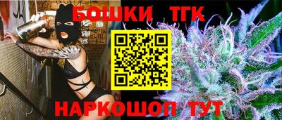 крисы Лесосибирск