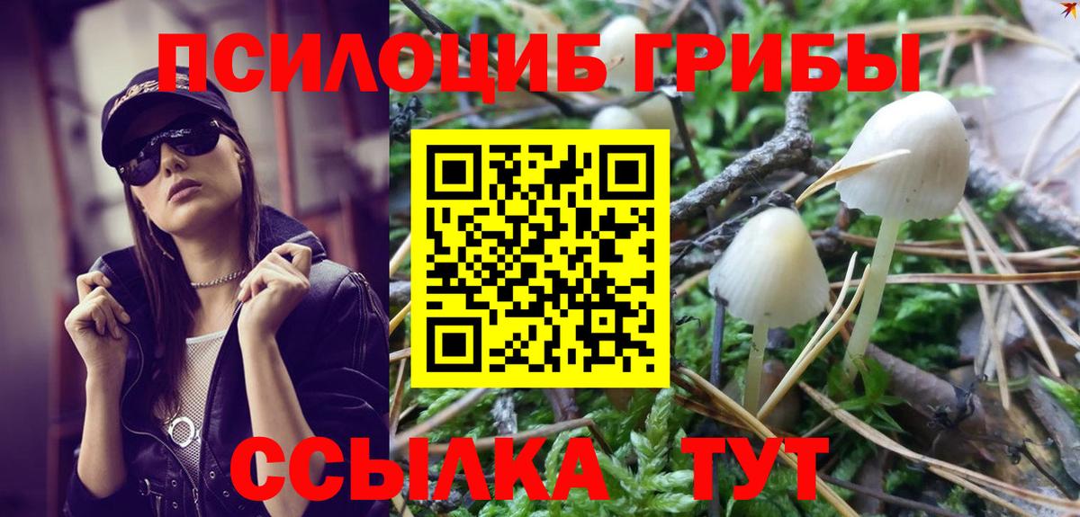 Псилоцибиновые грибы прущие грибы  Вход с VPN  Каменск-Шахтинский  продажа наркотиков  Галлюциногенные грибы Psilocybine cubensis 